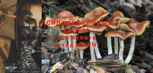альфа пвп Новодвинск