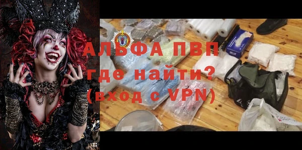 PSILOCYBIN Новозыбков