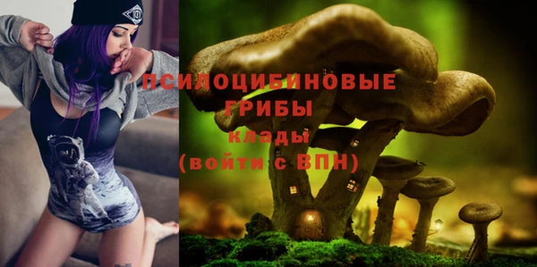дживик Новокубанск