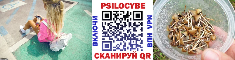 Галлюциногенные грибы мицелий где можно купить это состав Переславль-Залесский
