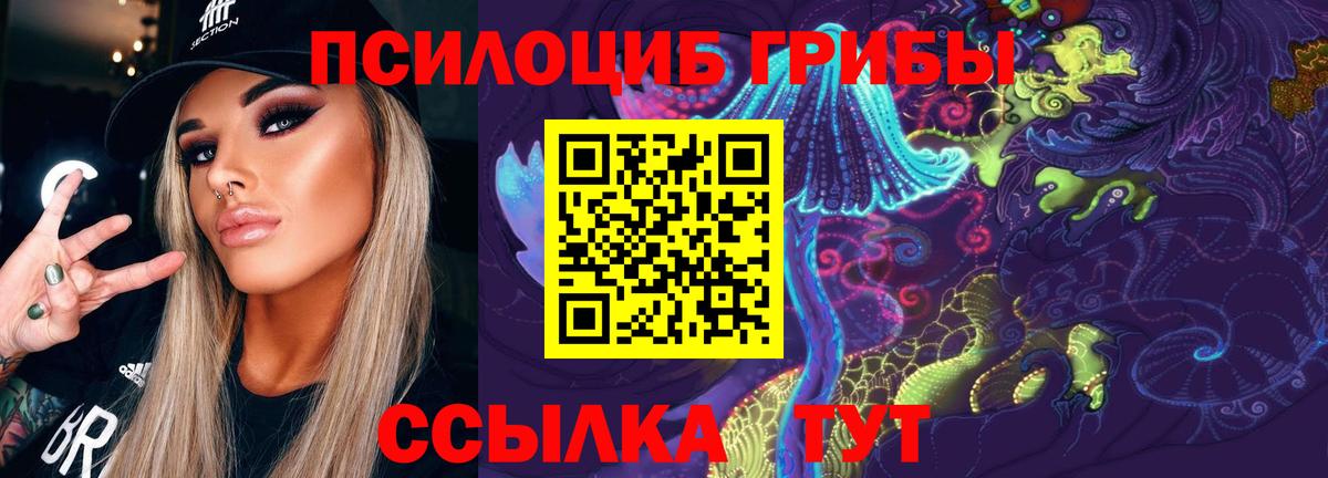 купить закладку  Галлюциногенные грибы Psilocybine cubensis  Вход с VPN  Переславль-Залесский 