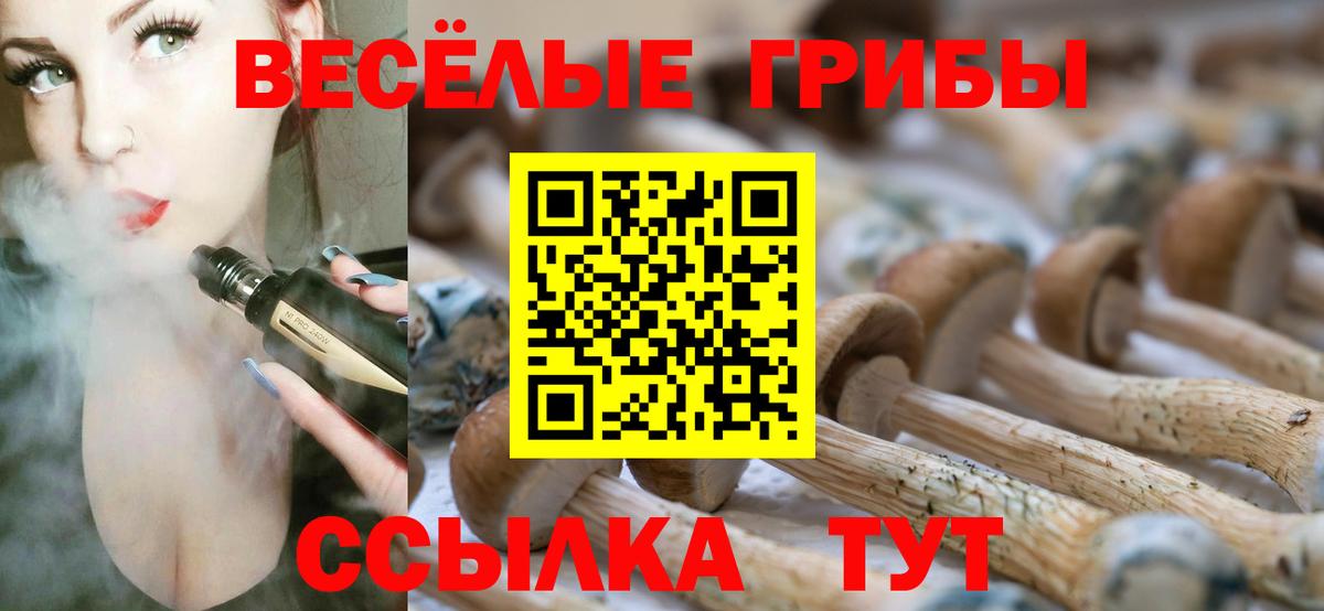 Галлюциногенные грибы Psilocybe  Псилоцибиновые грибы Psilocybe  Переславль-Залесский 